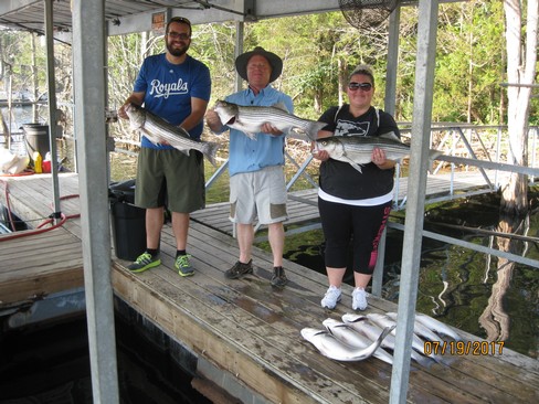 Nice Striped Bass